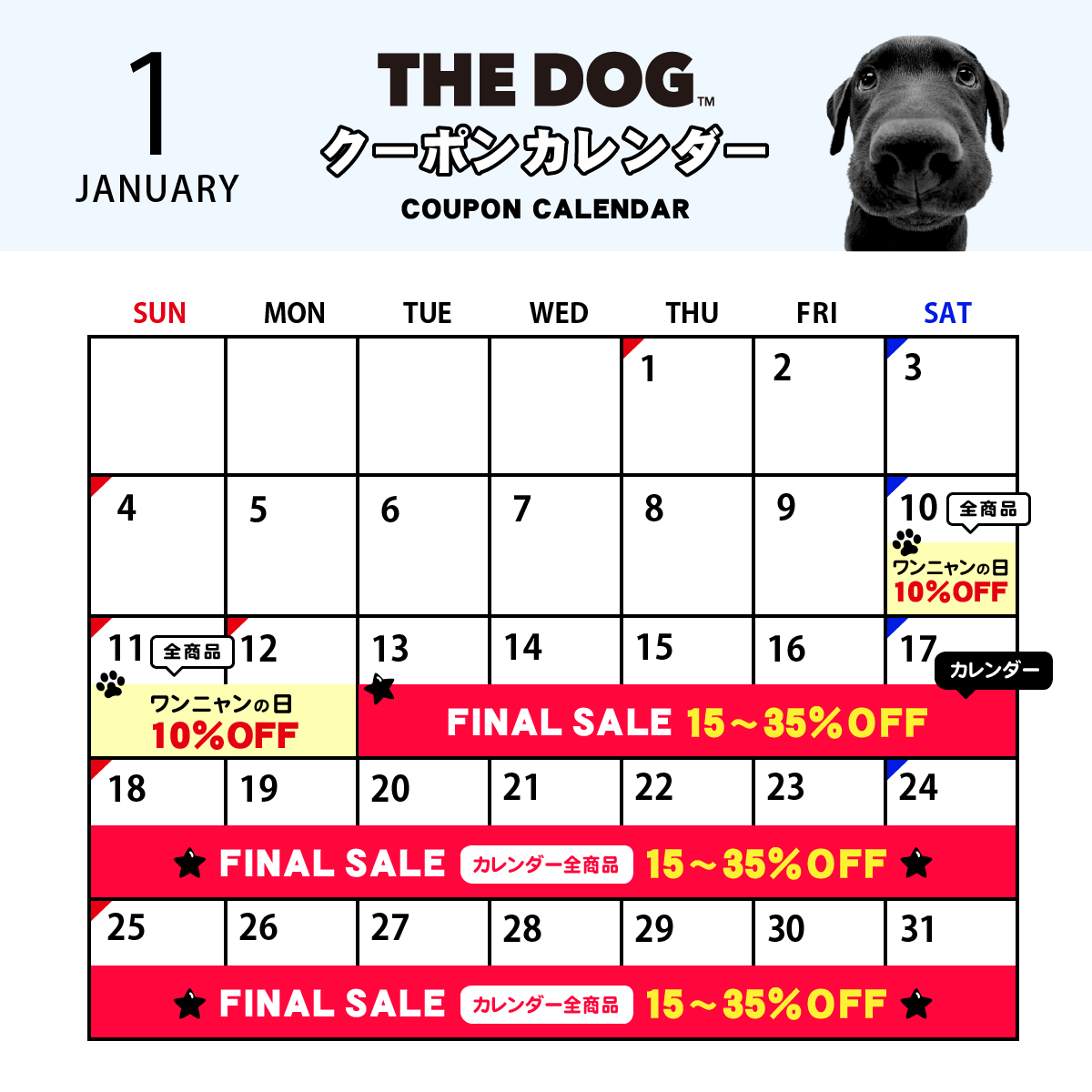 NEWS – THE DOG STORE
