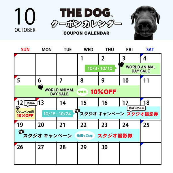 🐾10月は“世界動物の日”キャンペーン＋スタジオ利用券の抽選が復活！🐾