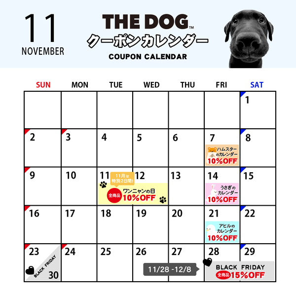 🗓️11月限定キャンペーンのお知らせ