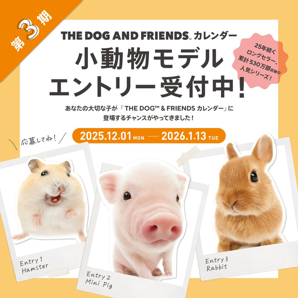 🐾✨ 【THE DOG™ & FRIENDS カレンダー】第3期 小動物モデル募集スタート！ ✨🐾
