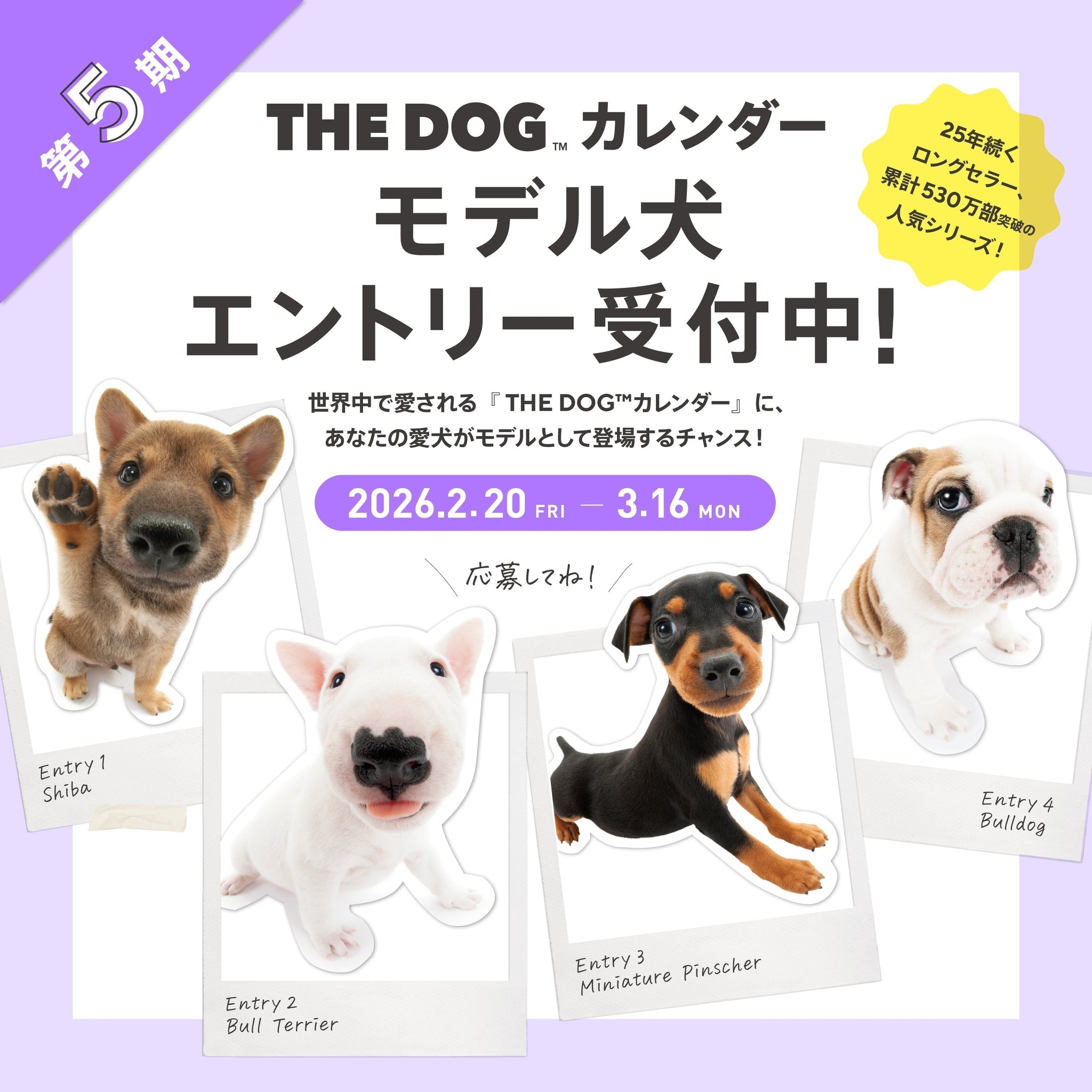 NEWS – THE DOG STORE