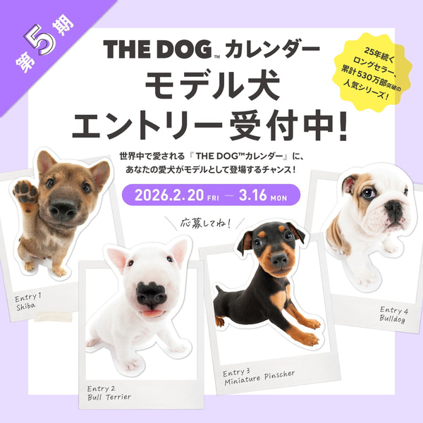NEWS – THE DOG STORE