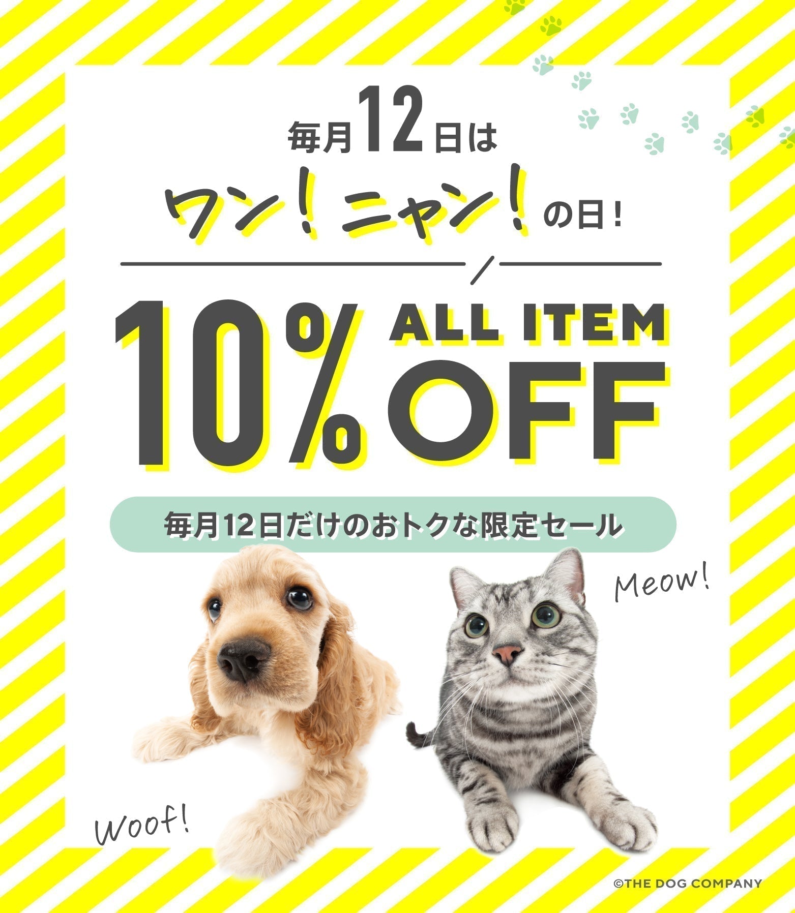 NEWS – THE DOG STORE
