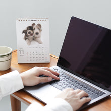 Load image into Gallery viewer, THE DOG 2024 Calendar desktop size (pug)
