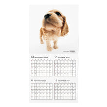 Read the image into the gallery view, THE DOG 2025 Calendar Large format size (American Cocker Spaniel)
