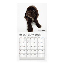 Read the image into the gallery view, THE DOG 2025 Calendar Large format size (American Cocker Spaniel)
