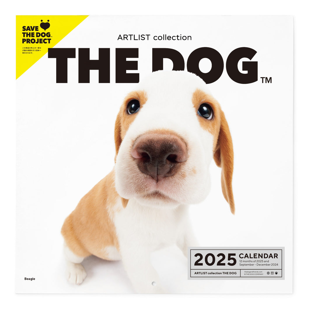 THE DOG 2025 Calendar Large format size (beagle)