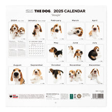 Read the image into the gallery view, THE DOG 2025 Calendar Large format size (beagle)
