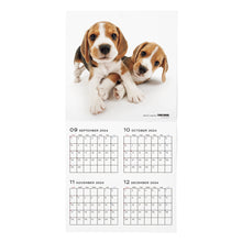 Read the image into the gallery view, THE DOG 2025 Calendar Large format size (beagle)
