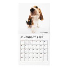 Read the image into the gallery view, THE DOG 2025 Calendar Large format size (beagle)
