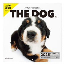 Read the image into the gallery view, THE DOG 2025 Calendar Large format size (Barneys Mountain Dog)
