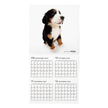 Read the image into the gallery view, THE DOG 2025 Calendar Large format size (Barneys Mountain Dog)
