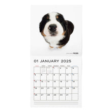 Read the image into the gallery view, THE DOG 2025 Calendar Large format size (Barneys Mountain Dog)
