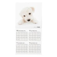 Lea la imagen en la vista de la galería, El tamaño de gran formato de calendario 2025 (Bichon Frize)
