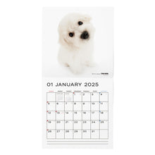 Lea la imagen en la vista de la galería, El tamaño de gran formato de calendario 2025 (Bichon Frize)
