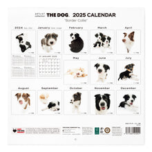 Read the image into the gallery view, THE DOG 2025 Calendar Large format size (Border Collie)
