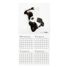 Lea la imagen en la vista de la galería, El tamaño de gran formato de calendario del perro 2025 (Border Collie)
