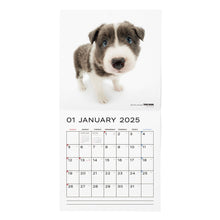 Lea la imagen en la vista de la galería, El tamaño de gran formato de calendario del perro 2025 (Border Collie)
