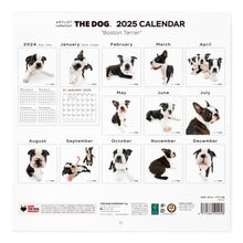 Read the image into the gallery view, THE DOG 2025 Calendar Large format size (Boston Terrier)
