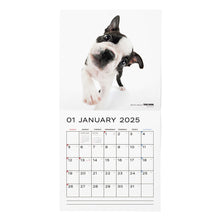 Lea la imagen en la vista de la galería, El calendario del perro 2025 tamaño de gran formato (Boston Terrier)
