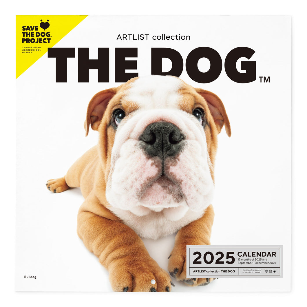 THE DOG 2025 Calendar Large format size (bulldog)