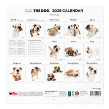 Read the image into the gallery view, THE DOG 2025 Calendar Large format size (bulldog)
