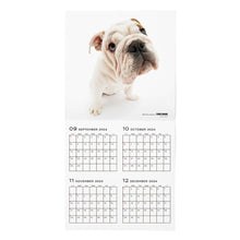 Lea la imagen en la vista de la galería, El calendario del perro 2025 tamaño grande de formato (bulldog)
