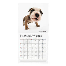 Lea la imagen en la vista de la galería, El calendario del perro 2025 tamaño grande de formato (bulldog)
