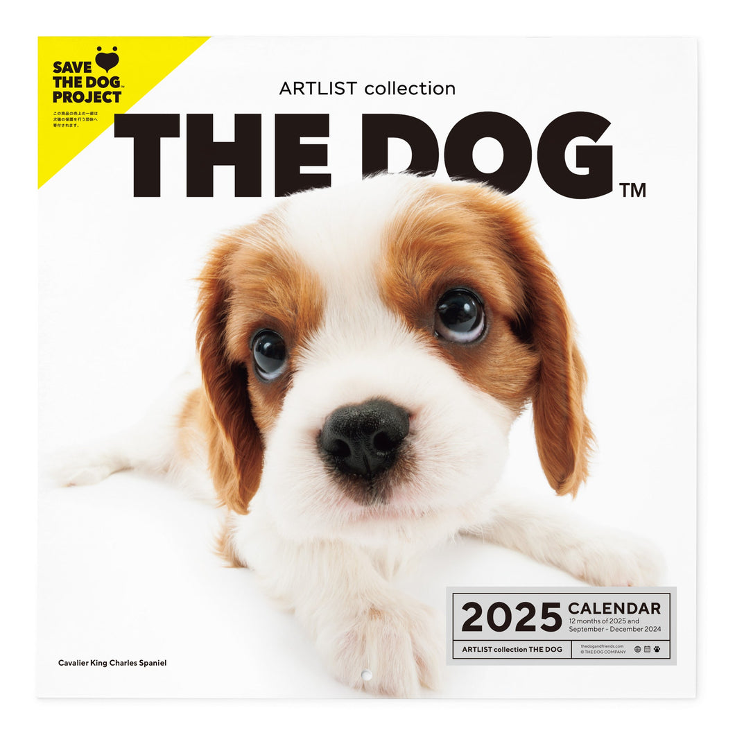 THE DOG 2025 Calendar Large format (Cavalier King Charles Spaniel)