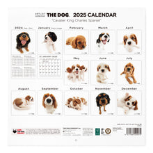 Read the image into the gallery view, THE DOG 2025 Calendar Large format size (Cavalia King Charles Spaniel)
