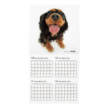 Read the image into the gallery view, THE DOG 2025 Calendar Large format (Cavalier King Charles Spaniel)
