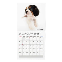 Lea la imagen en la vista de la galería, El tamaño de gran formato del calendario 2025 (Cavalia King Charles Spaniel)
