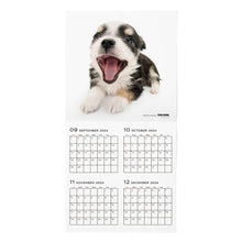 Lea la imagen en la vista de la galería, El perro 2025 Calendario Tamaño de gran formato (Chihuahua)
