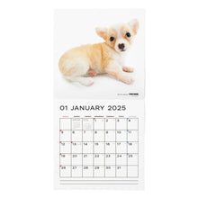 Lea la imagen en la vista de la galería, El perro 2025 Calendario Tamaño de gran formato (Chihuahua)
