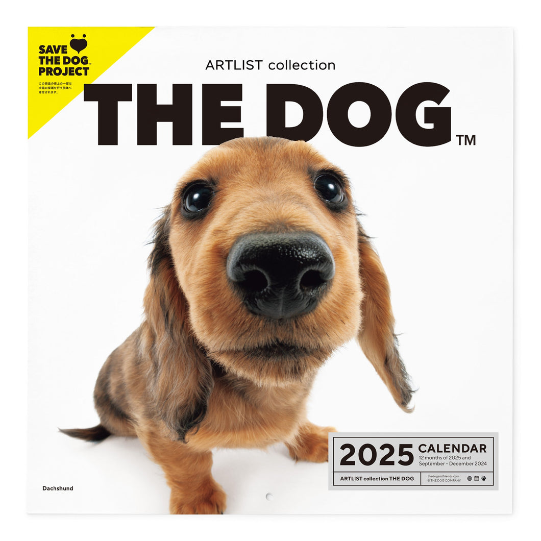 THE DOG 2025 Calendar Large format size (Dachshund)