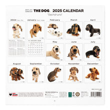 Lea la imagen en la vista de la galería, El tamaño de calendario del perro 2025 tamaño de gran formato (Dachshund)
