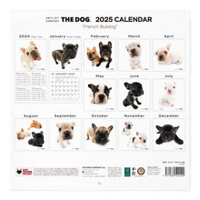 Lea la imagen en la vista de la galería, El perro 2025 Calendario Tamaño de gran formato (perro de toros francés)
