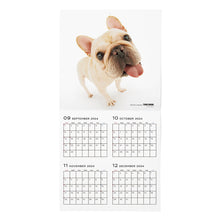 Read the image into the gallery view, THE DOG 2025 Calendar Large format size (French Bull Dog)
