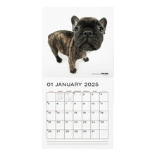 Read the image into the gallery view, THE DOG 2025 Calendar Large format size (French Bull Dog)
