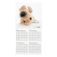 Read the image into the gallery view, THE DOG 2025 Calendar Large format size (Golden Retriever)
