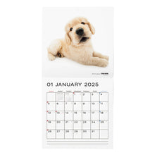 Lea la imagen en la vista de la galería, El tamaño de gran formato de calendario del perro 2025 (Golden Retriever)
