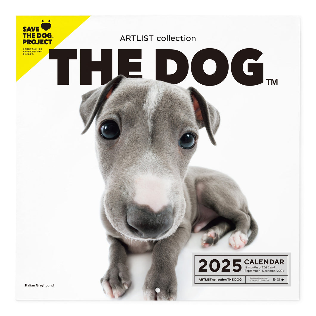 THE DOG 2025 Calendar Large format size (Italian Gray Hound)