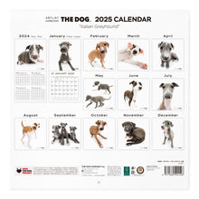 Read the image into the gallery view, THE DOG 2025 Calendar Large format size (Italian Gray Hound)
