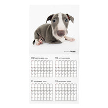 Read the image into the gallery view, THE DOG 2025 Calendar Large format size (Italian Gray Hound)
