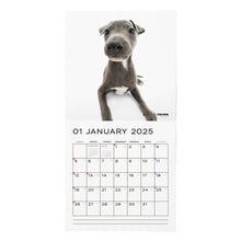 Lea la imagen en la vista de la galería, El calendario del perro 2025 tamaño de gran formato (sabueso gris italiano)
