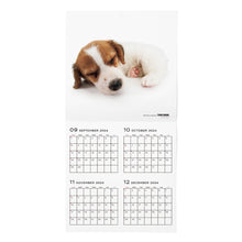 Lea la imagen en la vista de la galería, El tamaño de gran formato del calendario 2025 (Jack Russell Terrier)
