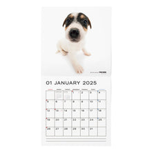 Read the image into the gallery view, THE DOG 2025 Calendar Large format size (Jack Russell Terrier)
