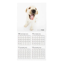 Read the image into the gallery view, THE DOG 2025 Calendar Large format size (Labrador Retriever)
