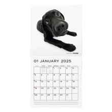 Lea la imagen en la vista de la galería, El calendario del perro 2025 tamaño de gran formato (Labrador Retriever)
