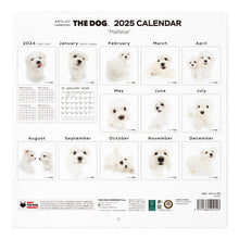 Read the image into the gallery view, THE DOG 2025 Calendar Large format size (Maltese)
